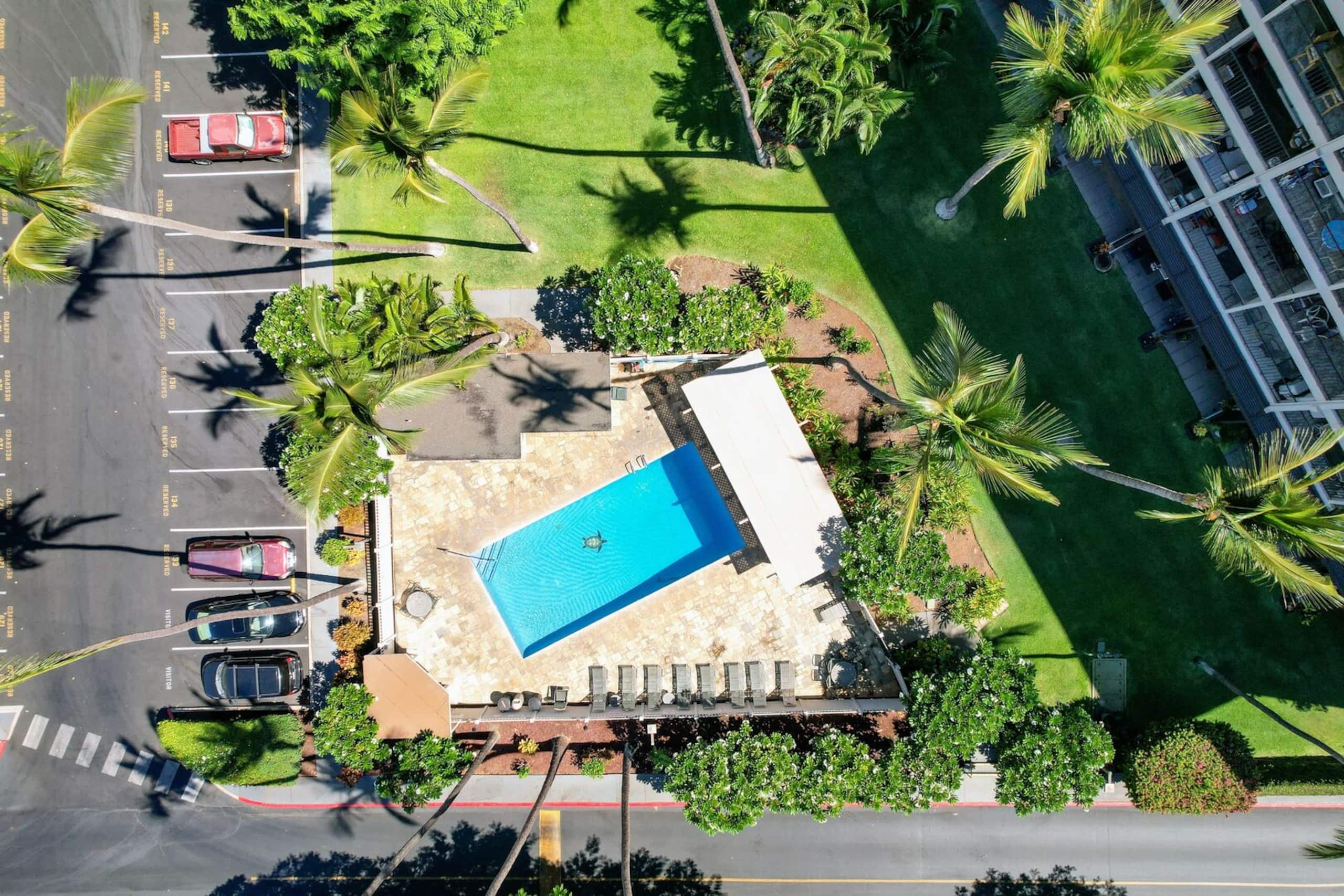 Condo in Kihei · ★4.74 · 1 bedroom · 2 beds · 1 bath - Image 22