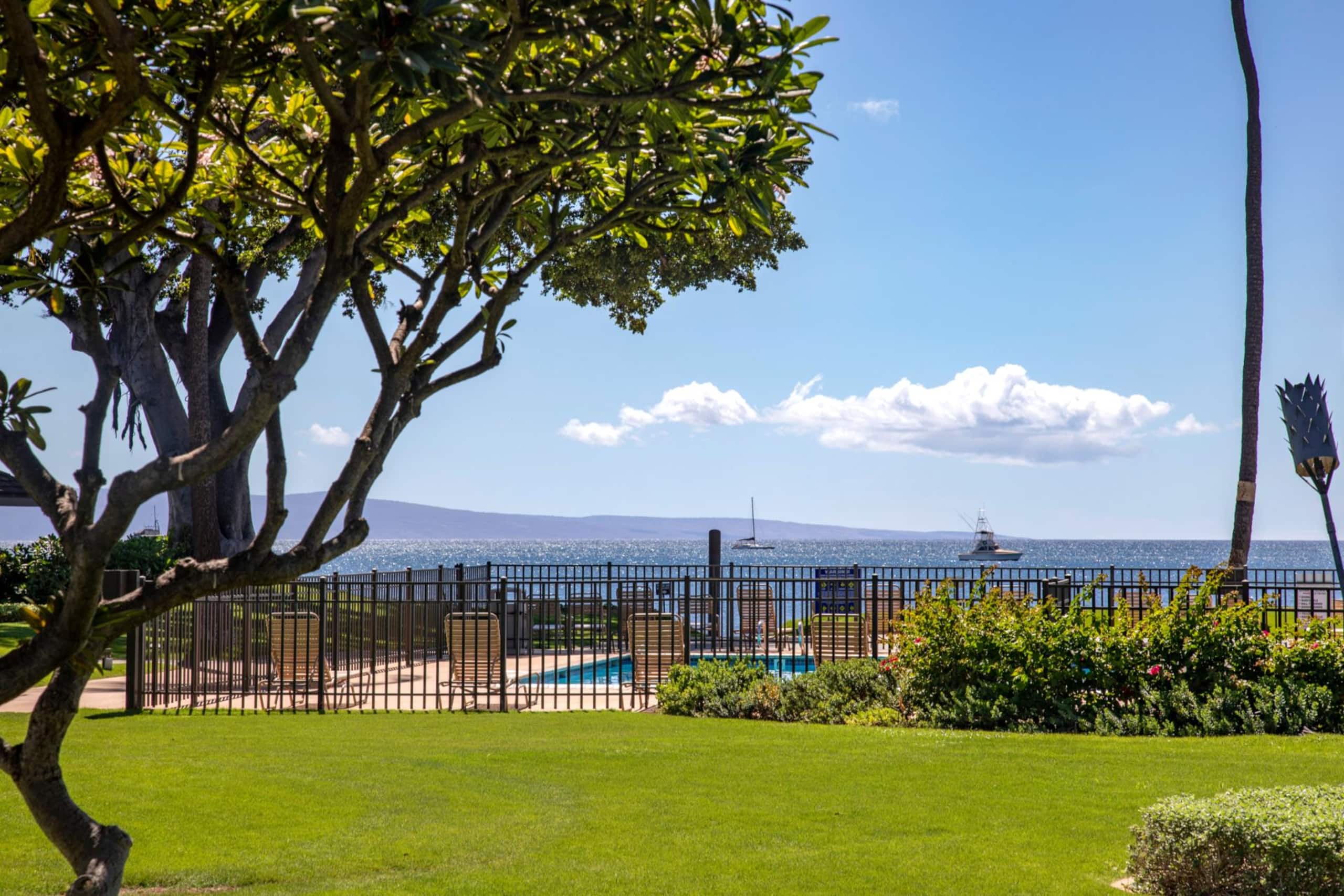 Condo in Kihei · ★4.88 · 1 bedroom · 2 beds · 1 bath - Image 24