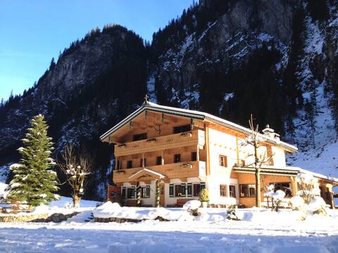 Dreamlike alpine house in Mayrhofen near the lif
