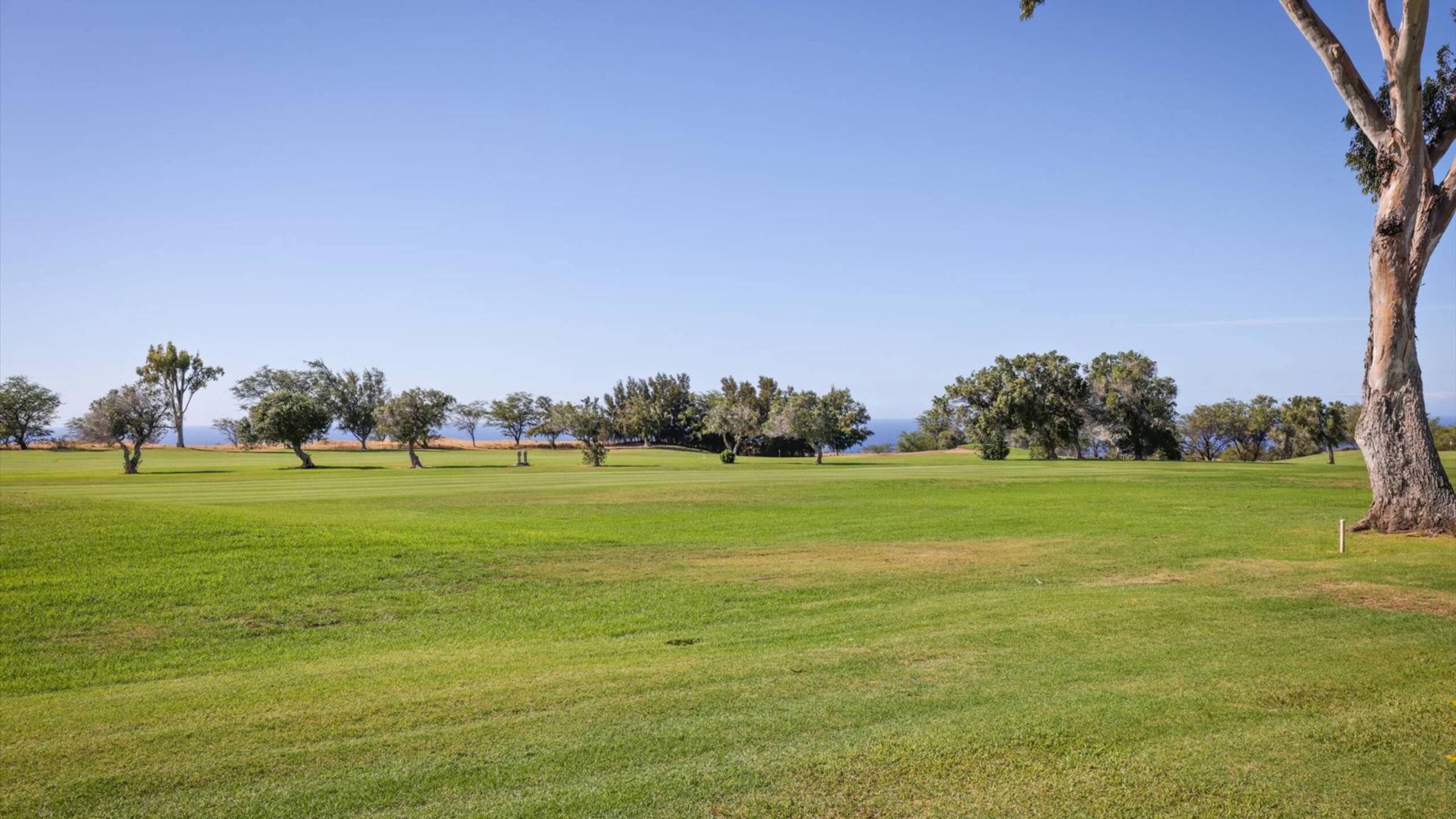 Condo in Waikoloa Village · ★4.25 · 2 bedrooms · 2 beds · 2 baths - Photo 38