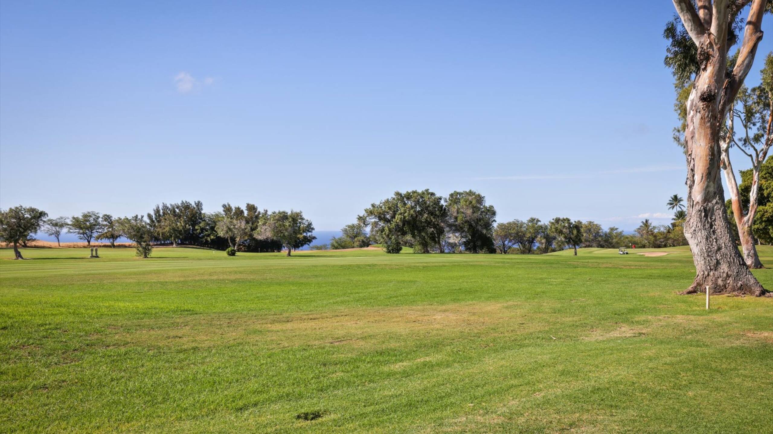 Condo in Waikoloa Village · ★4.25 · 2 bedrooms · 2 beds · 2 baths - Photo 37