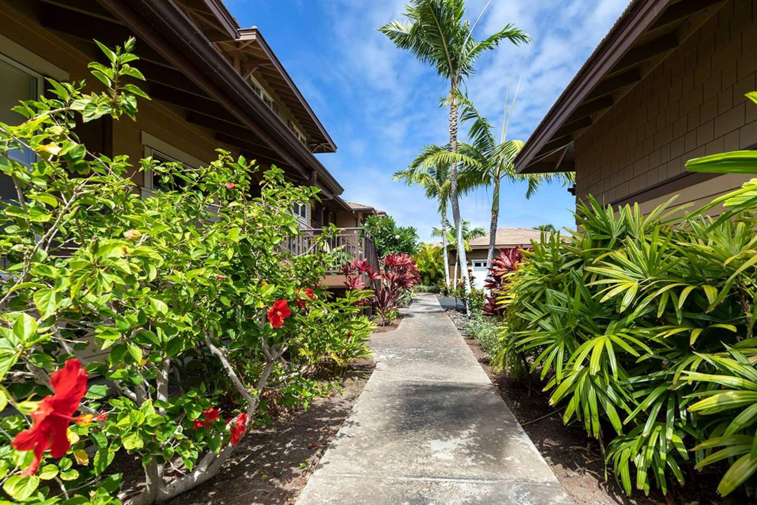 Condo in Waikoloa Village · ★5.0 · 3 bedrooms · 4 beds · 2 baths - Photo 39