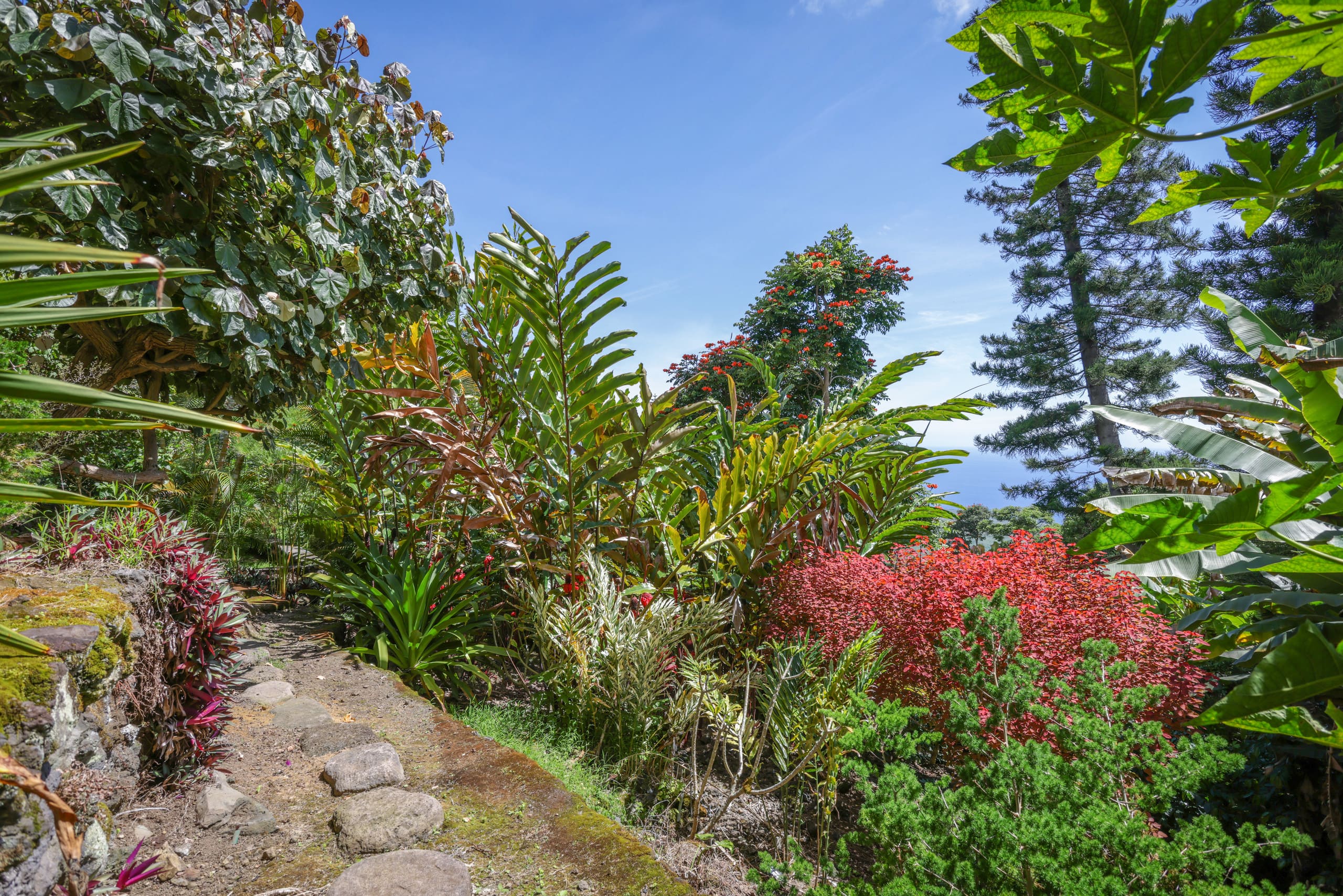 Home in Captain Cook · ★5.0 · 3 bedrooms · 4 beds · 2.5 baths - Photo 37