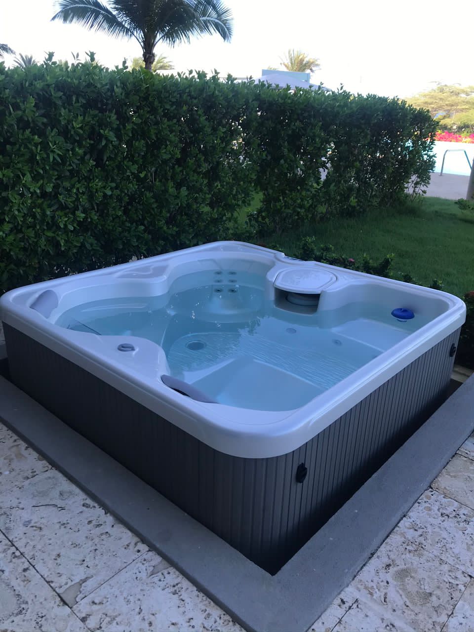 A hot tub is situated on a patio surrounded by lush greenery. The tub's surface reflects the sunlight, enhancing the inviting atmosphere. Nearby, manicured shrubs provide privacy while complementing the outdoor setting.