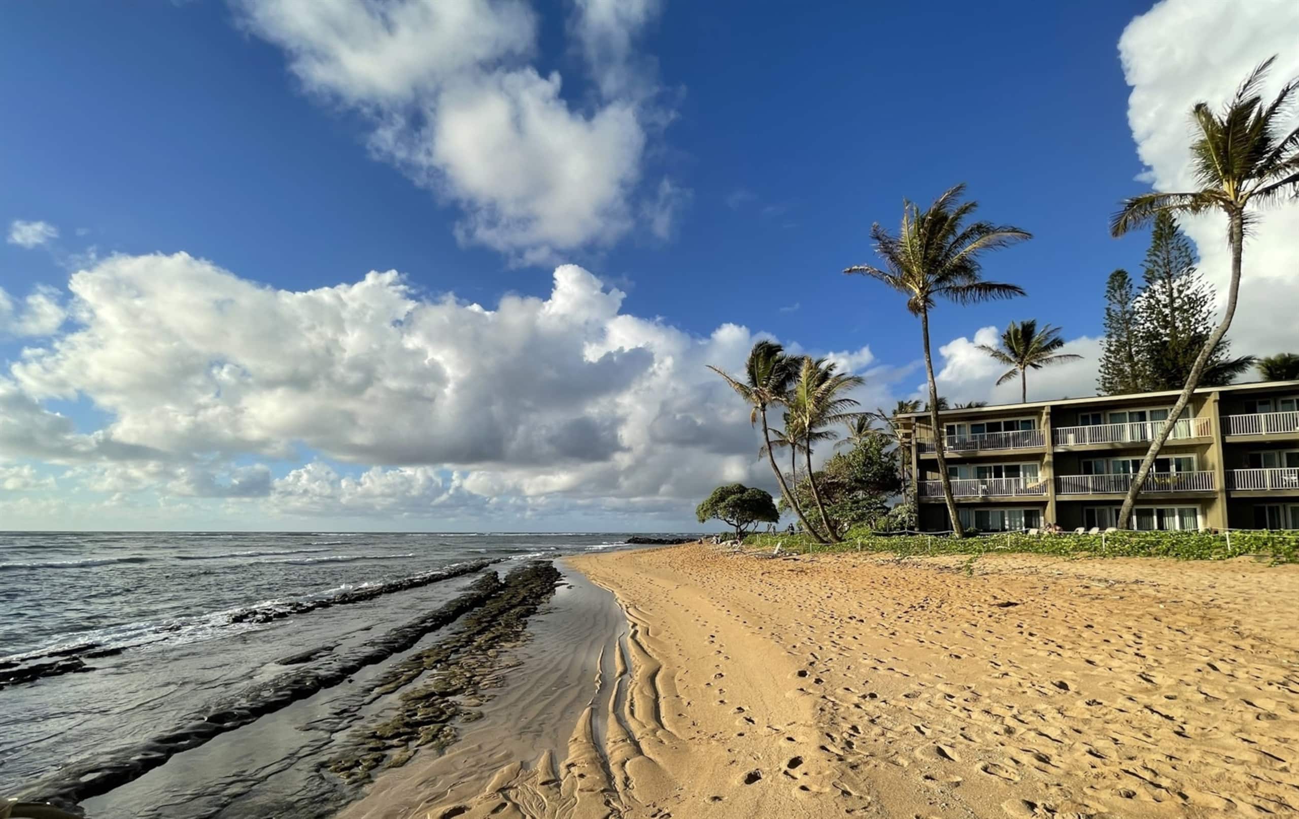 Condo in Kapaa · ★4.77 · Studio · 1 bed · 1 private bath - Image 15