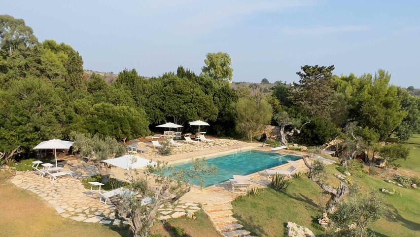 Lamia Centrale – Tenuta Le Farcole gallery image 4