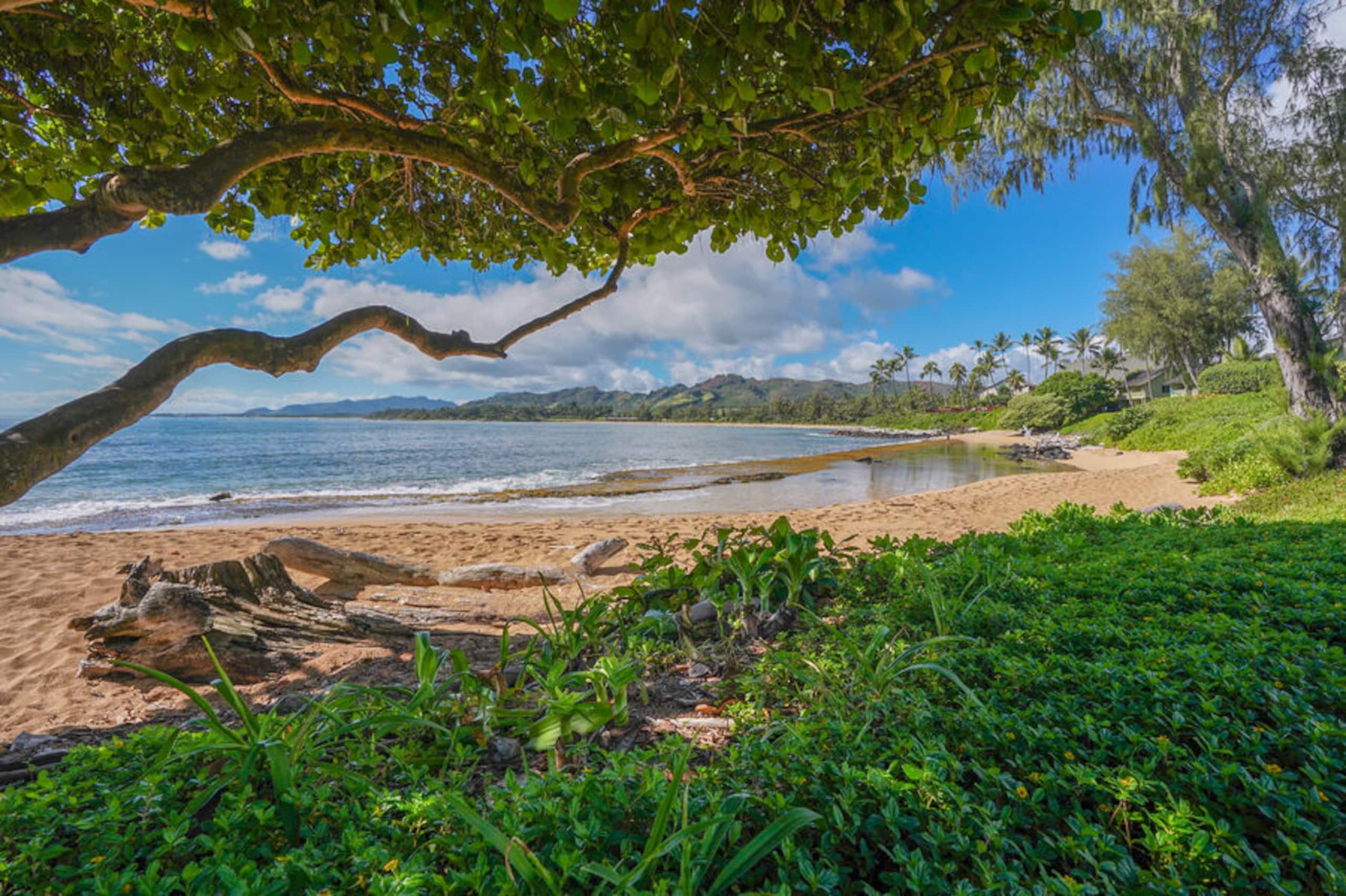 Condo in Kapaa · ★5.0 · 2 bedrooms · 3 beds · 2 baths - Image 28
