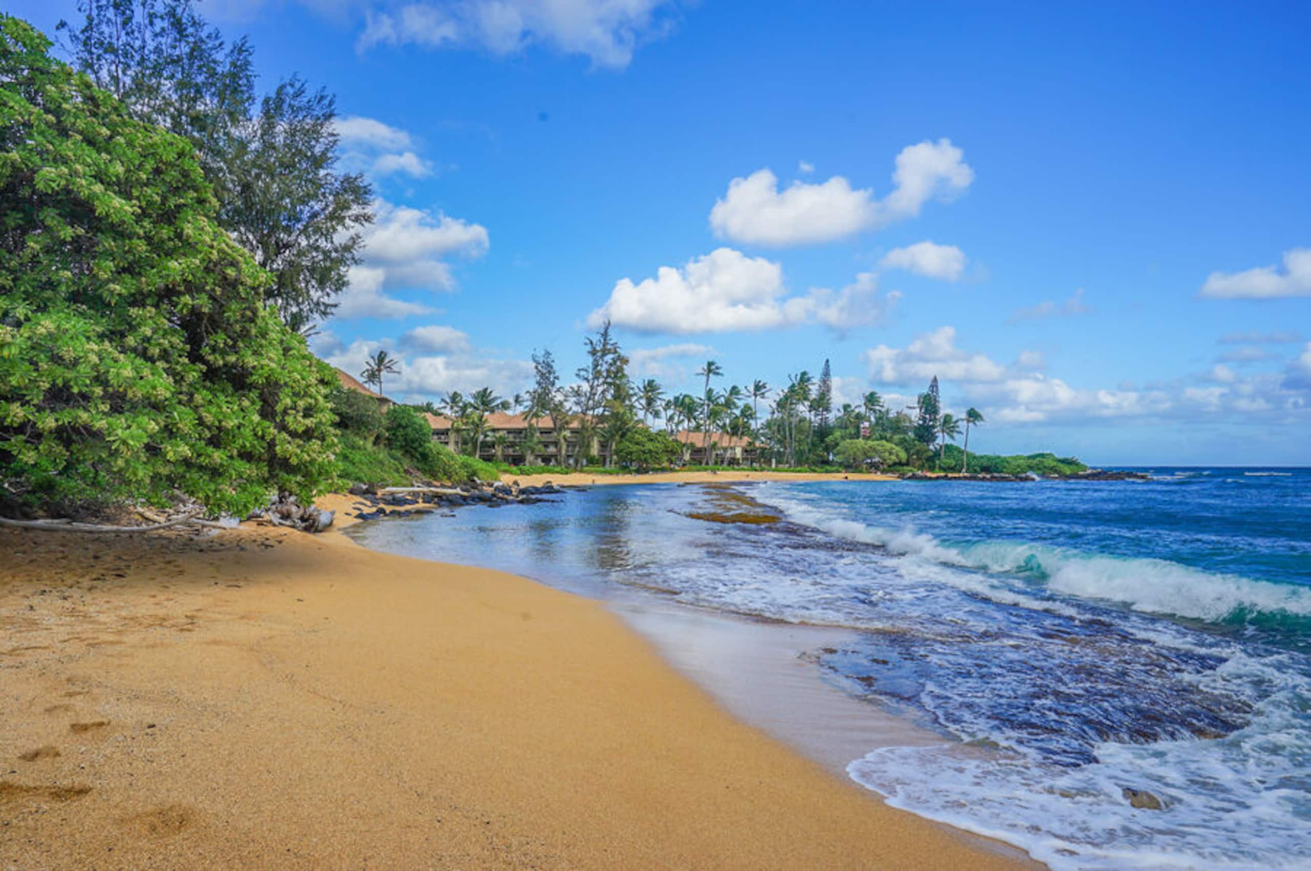 Condo in Kapaa · ★5.0 · 2 bedrooms · 3 beds · 2 baths - Image 32