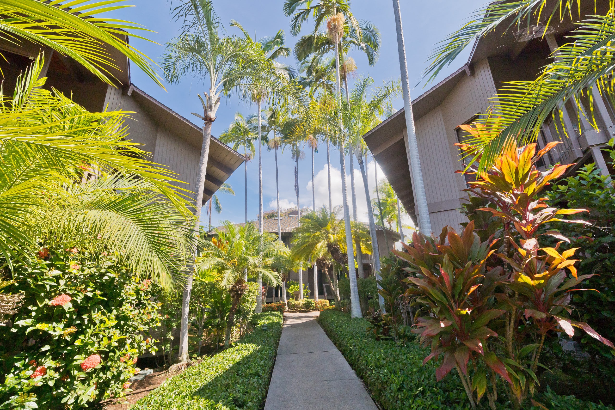 Condo in Kailua-Kona · ★4.71 · 3 bedrooms · 6 beds · 3 private baths - Image 6