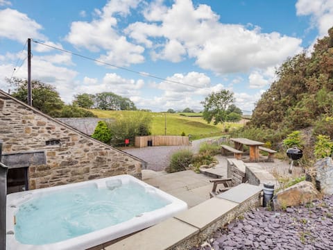 4 Bed in Betws y coed (52111)