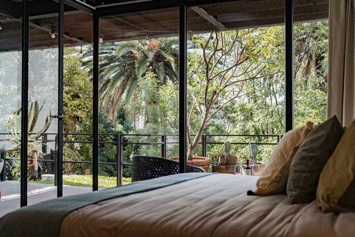 La Condesa Oasis: Big House, Beautiful Terrace gallery image 4