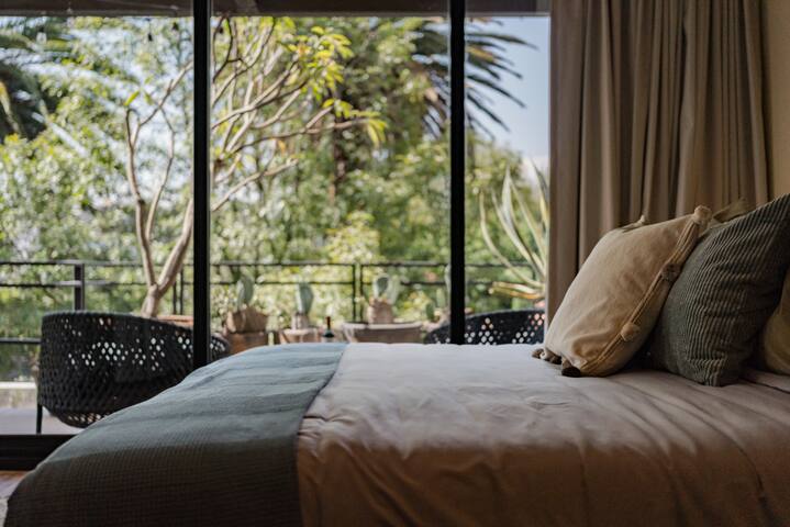 La Condesa Oasis: Big House, Beautiful Terrace gallery image 5