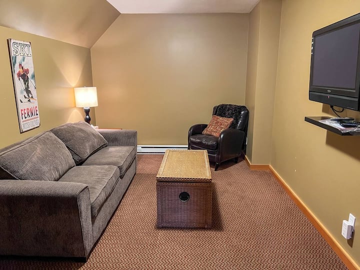 Den l Sofa Bed Sleeps 1 Adult l Lower Level