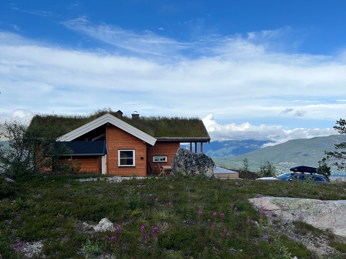 A newly constructed vacation home is nestled amidst lush greenery, featuring a grass-covered roof. The facade shows a blend of wooden elements and large windows. Surrounding nature includes low vegetation and blooming flowers, with mountains visible in the background under a bright blue sky.