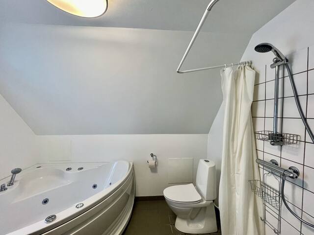 Cozy Duplex Apartment w/Jacuzzi and Balcony gallery image 5