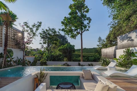 Modern New Villa Bordering Canggu, Ricefield View