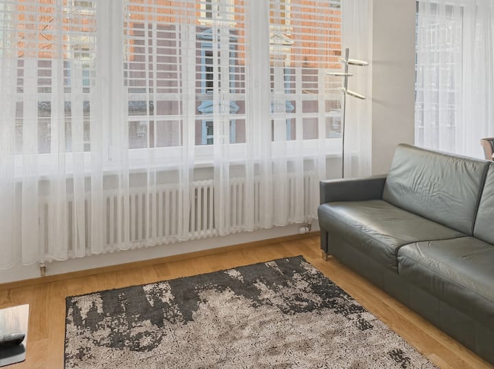 Amazing 1br Flat In The City Centre (West 8) - Zurique