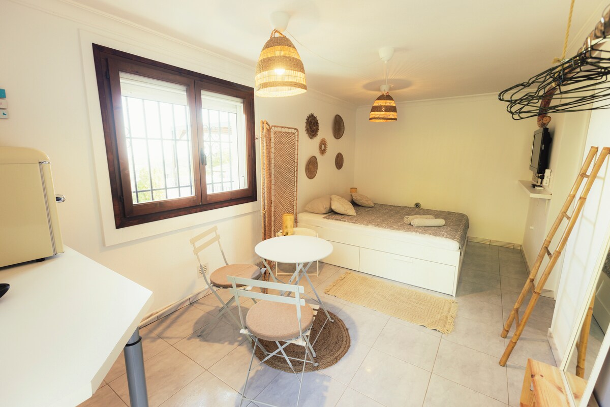 منطقة الضيف