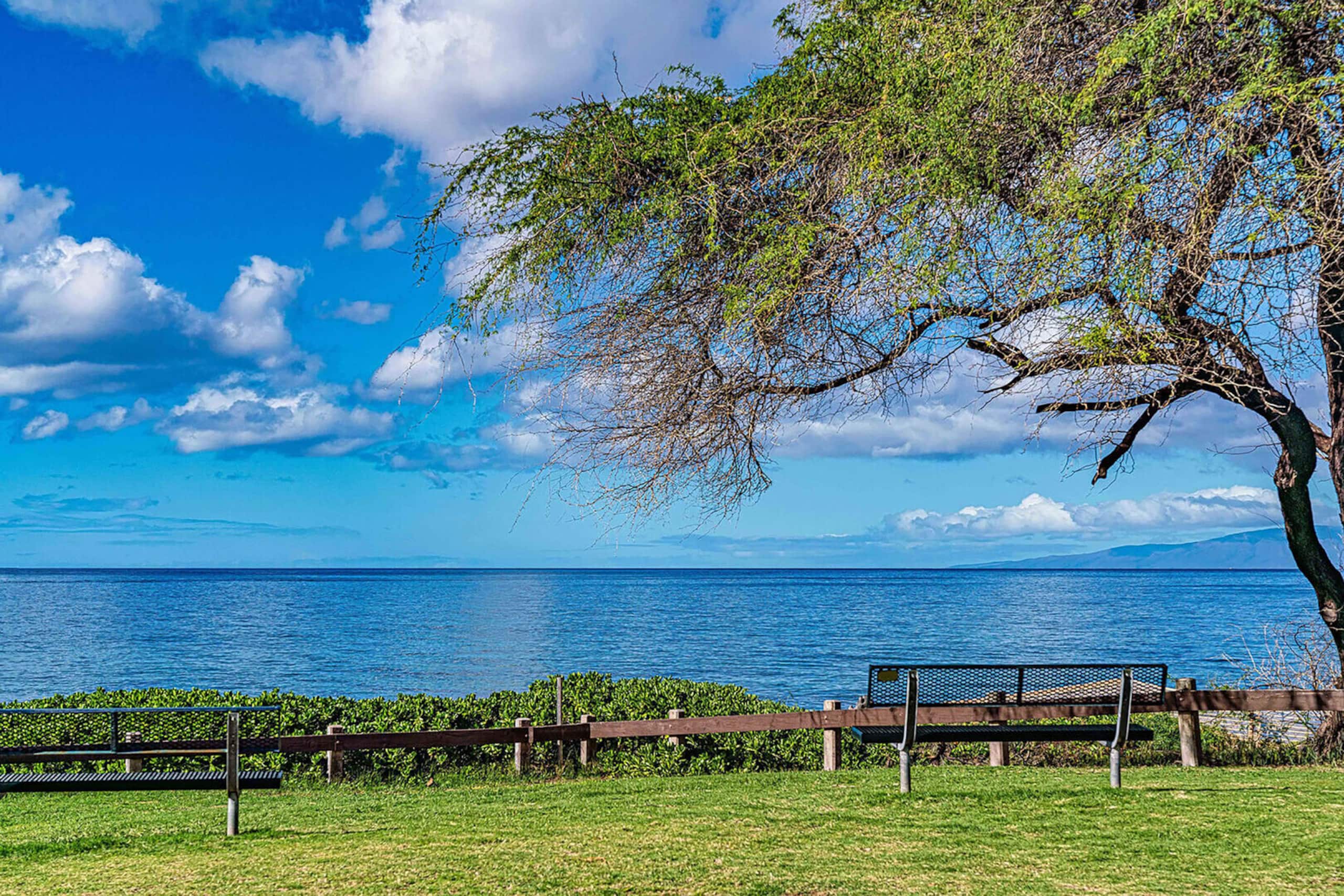 Condo in Kihei · ★5.0 · 2 bedrooms · 3 beds · 2 private baths - Image 47