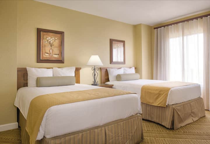 צילום מסך 2021 -02 -17 בשעה 5.34.53