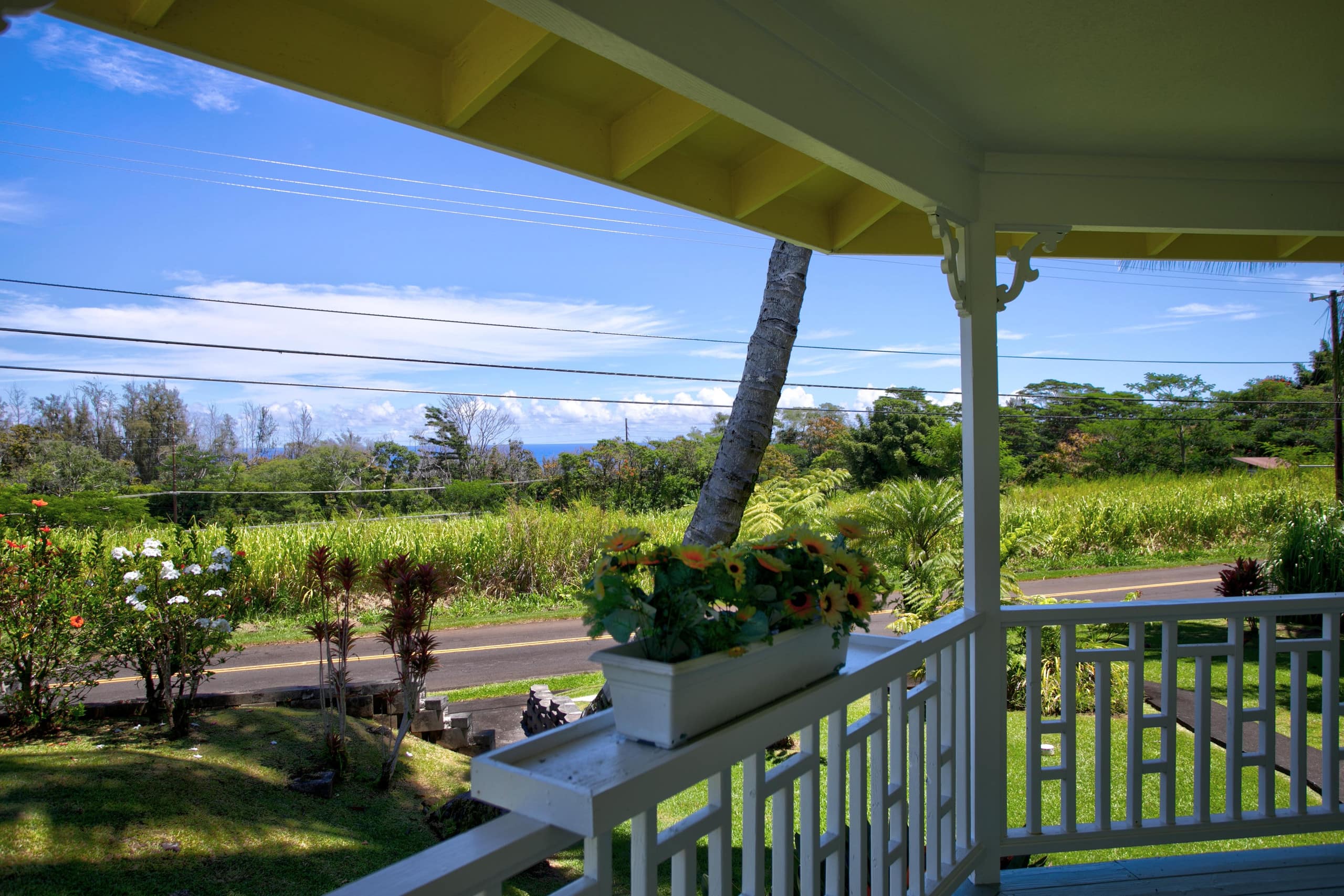 Hawaiian Dream with Pool - Photo 36