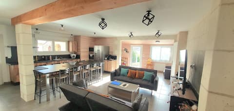 Le Marsiluga House 12 people 6 min from Puy du Fou