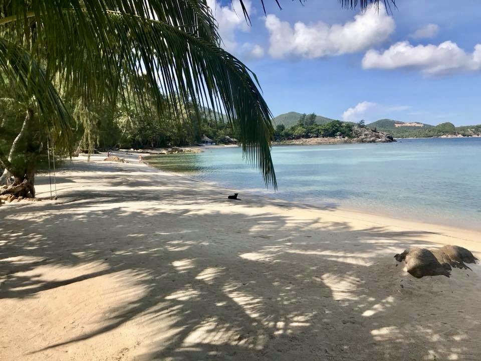 1 Bedroom / 1 Bath at Coconut Beach Bungalows (B7)