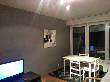 Lovely furnished studio in Geneva in Thônex, Geneva