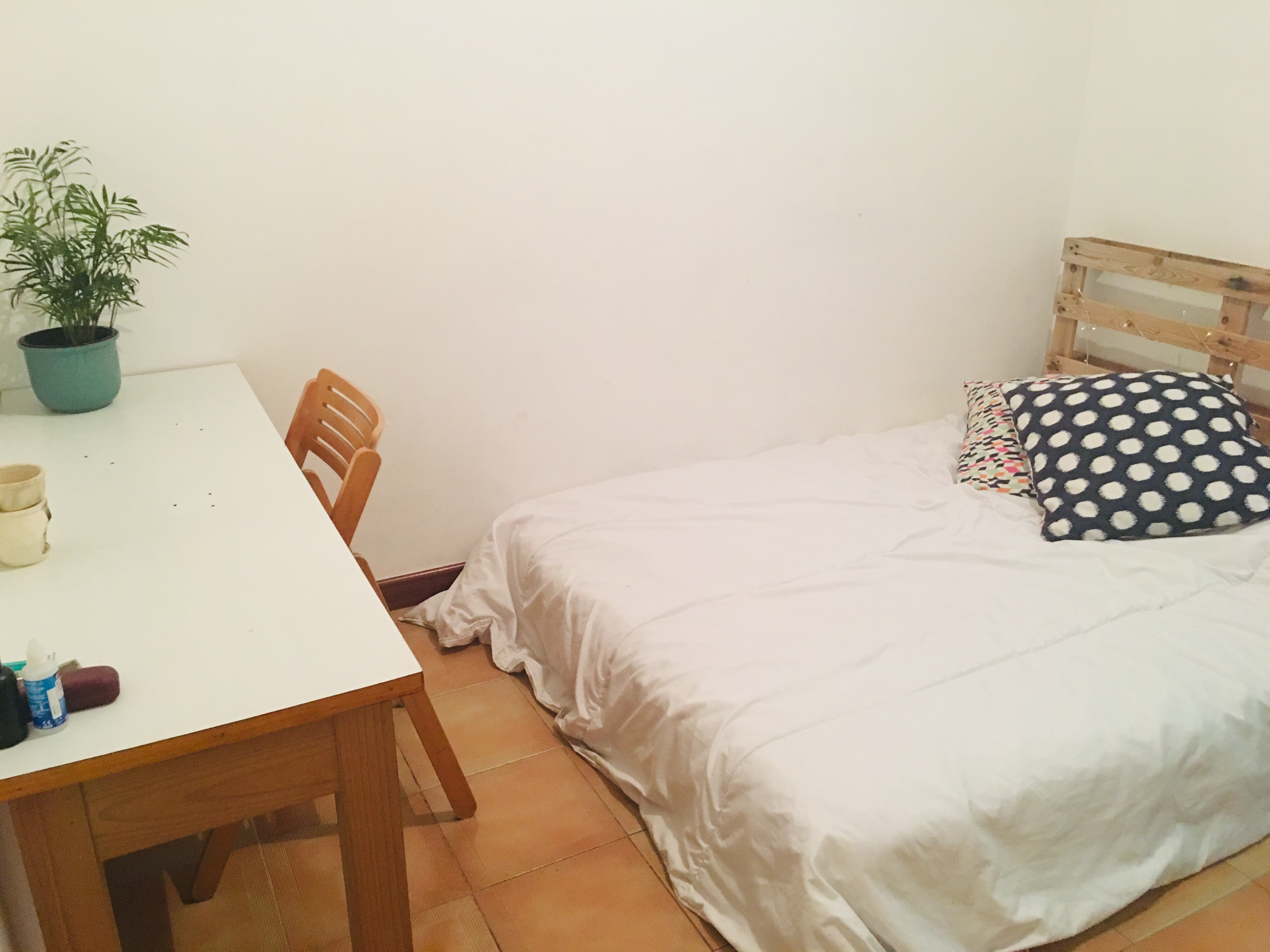 Photo de l’annonce