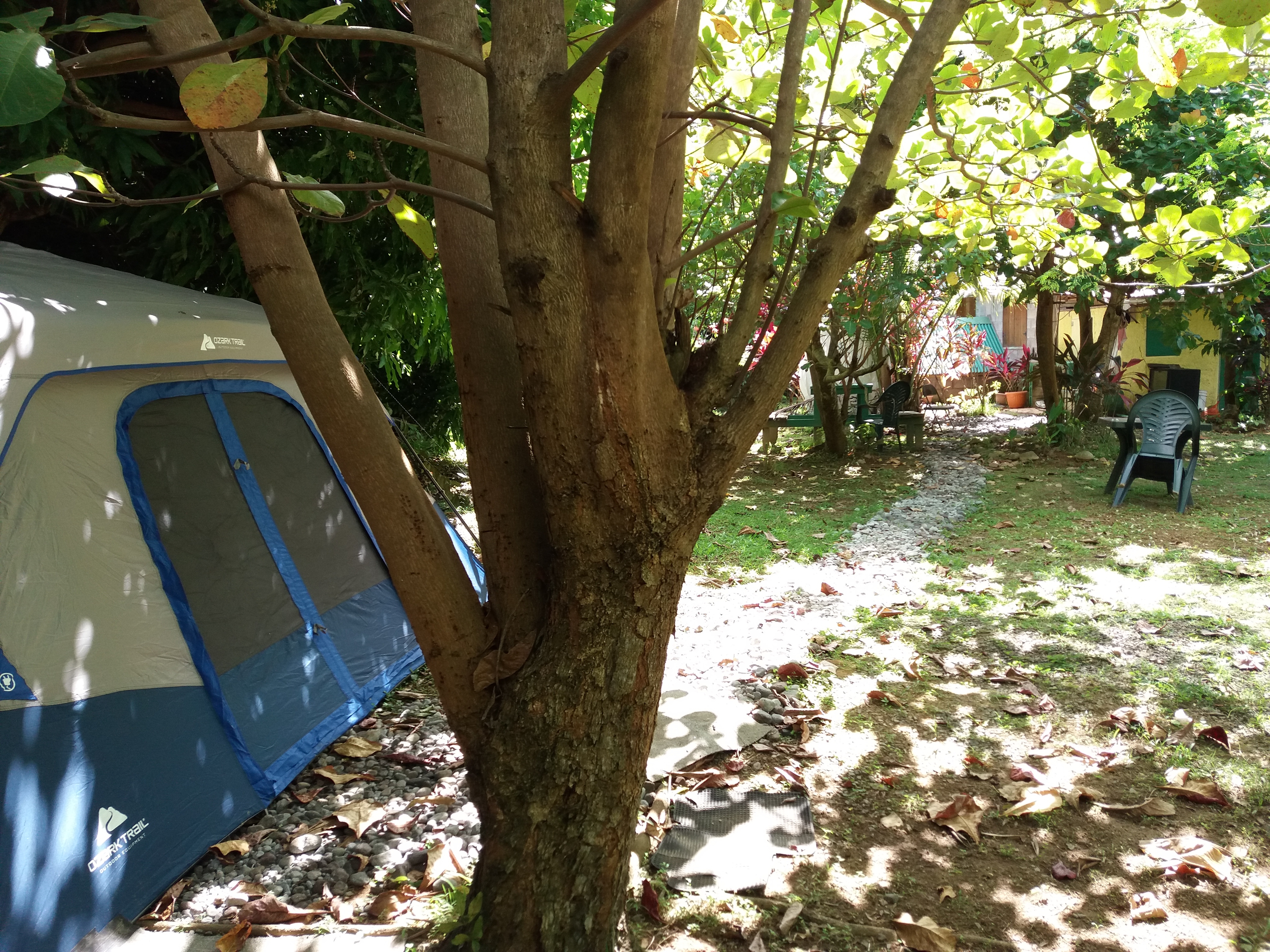 Big Banana Campground 