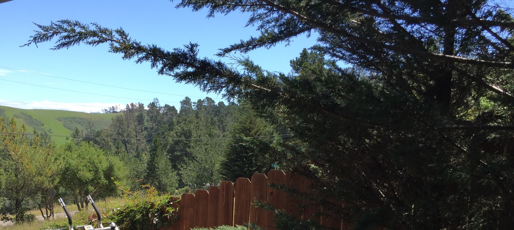 Paradise in the Pines; Mtn Views Houses for Rent in Cambria