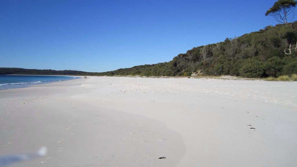 Bowerbird Cottage Apartment at Hyams Beach