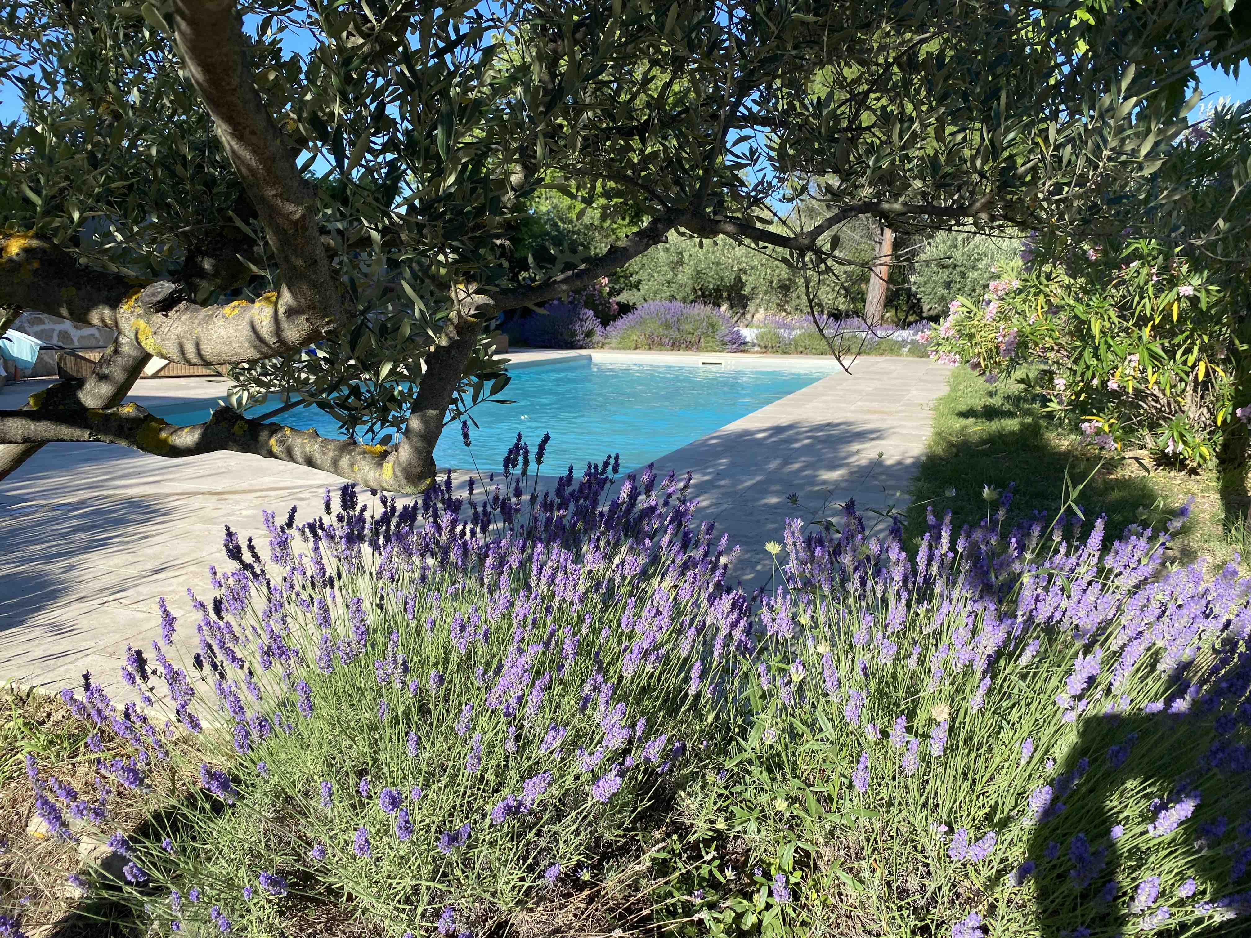 Charming house in Flayosc