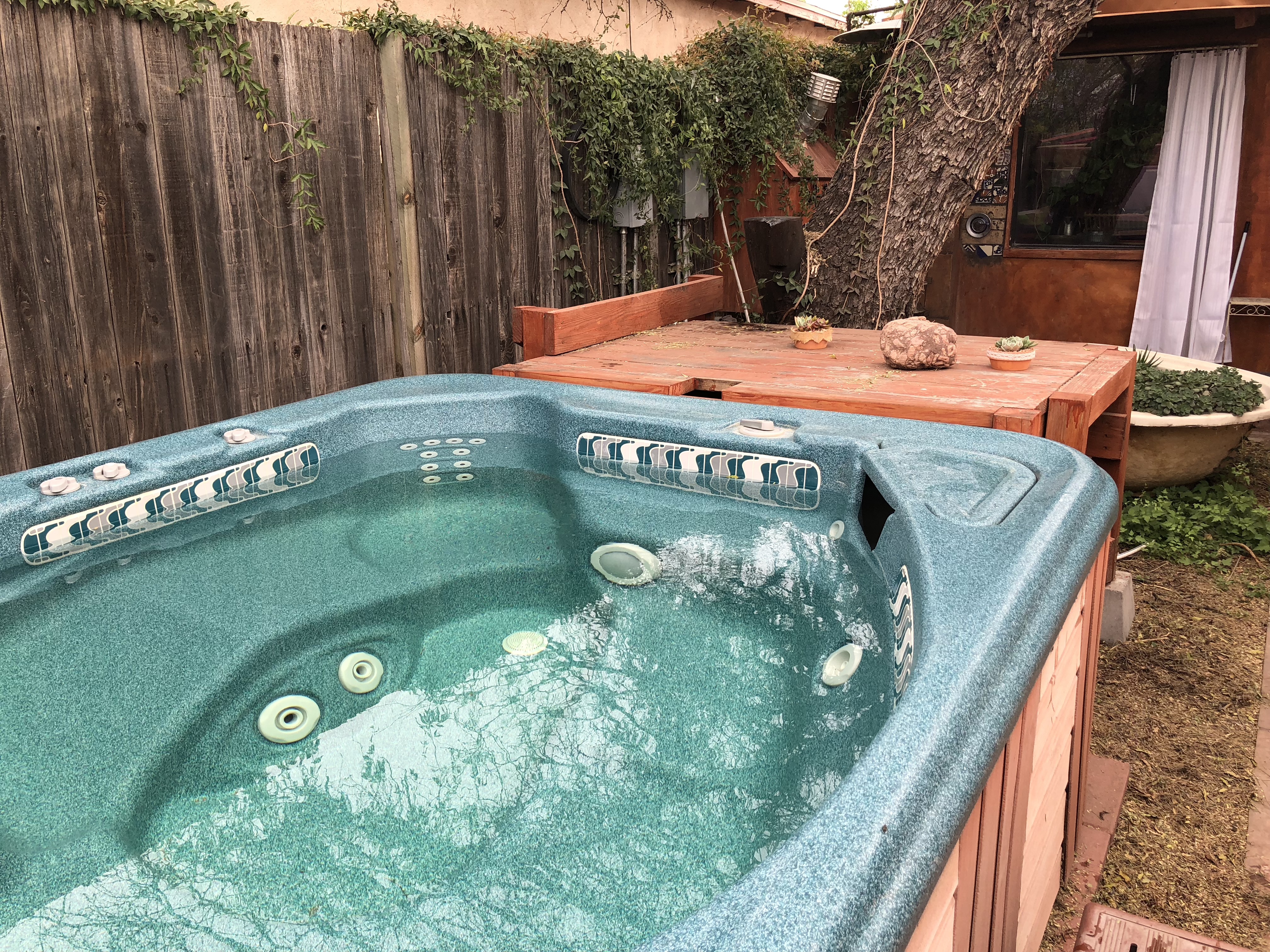 Charming 1 Bedroom Near Downtown 借りられるアパート ツーソン アリゾナ州 アメリカ合衆国