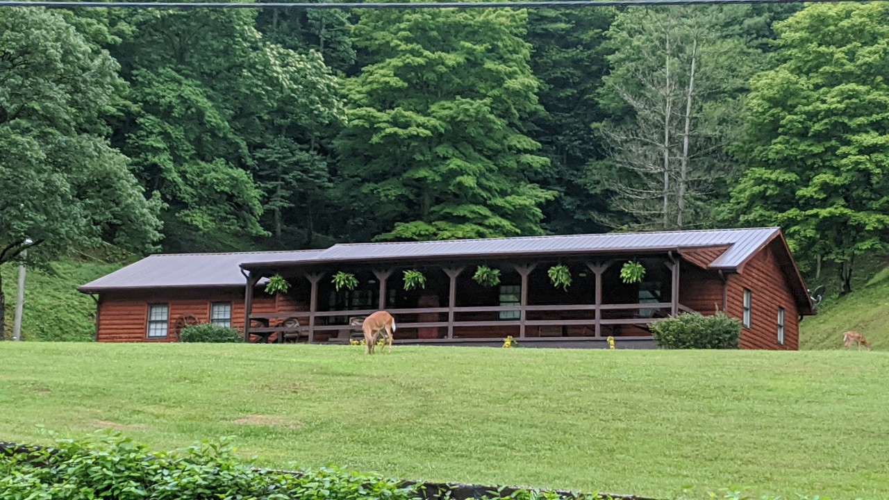 God's Country Houses for Rent in McCarr, Kentucky, United States Airbnb