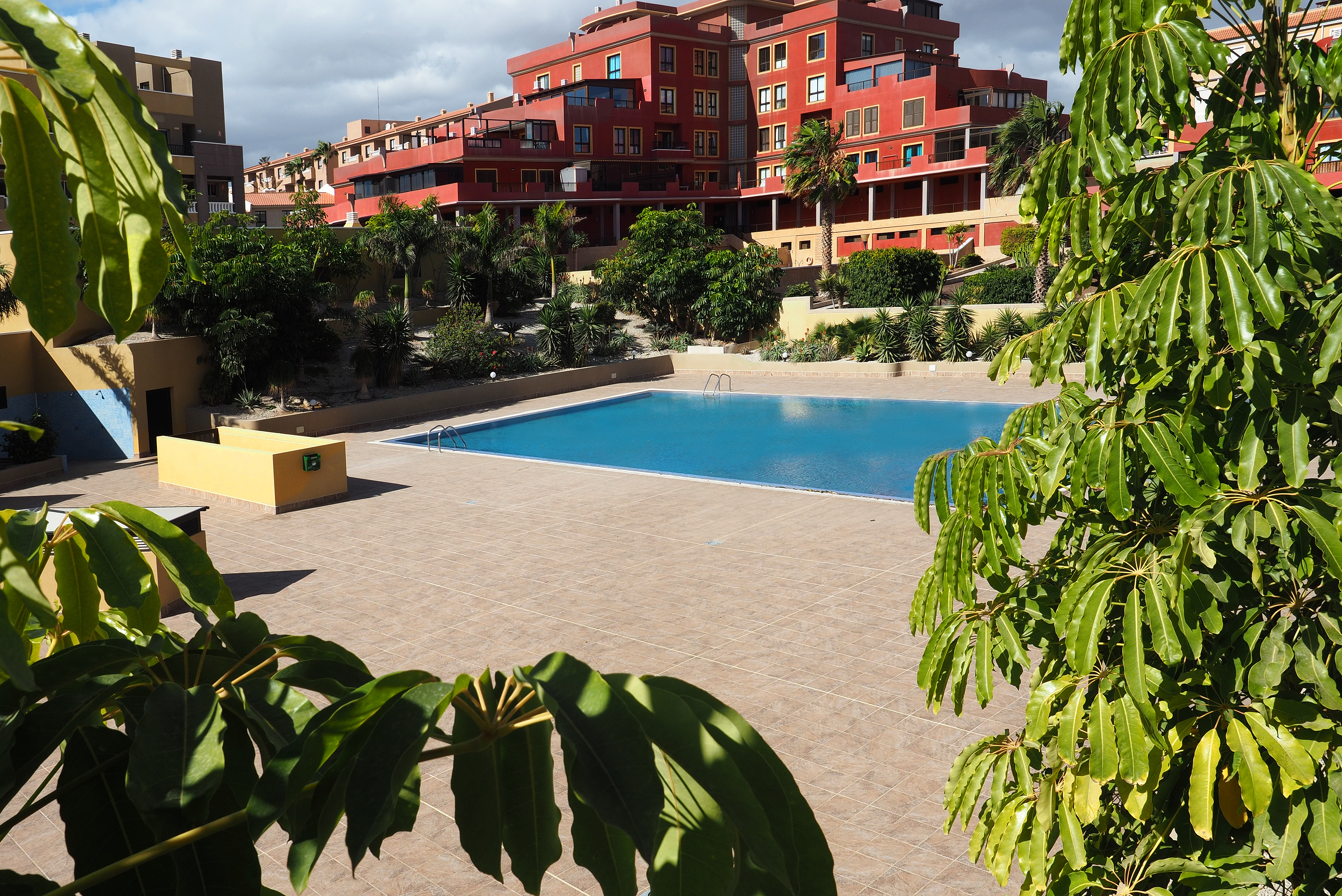 La Perla: Sea View & Pool - Modern Apartment - Apartments for Rent in El  Médano, Canarias, Spain