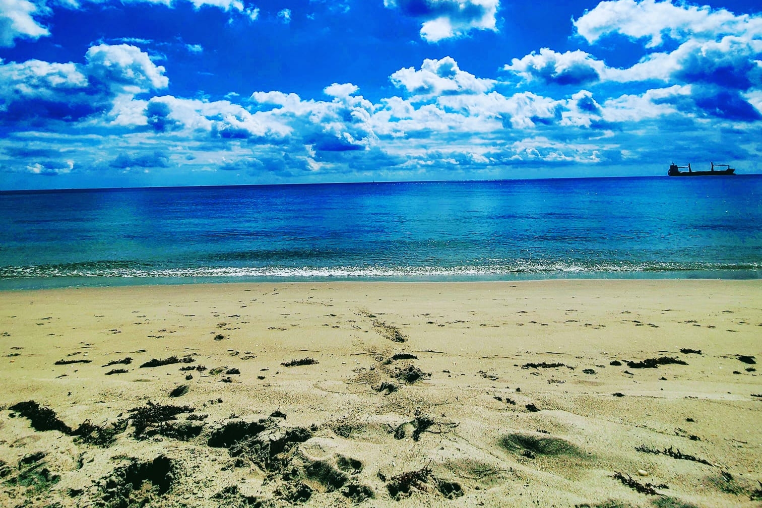 Airbnb爱彼迎 棕榈滩 Palm Beach 1张床 带停车场的泳池景观 无线网络