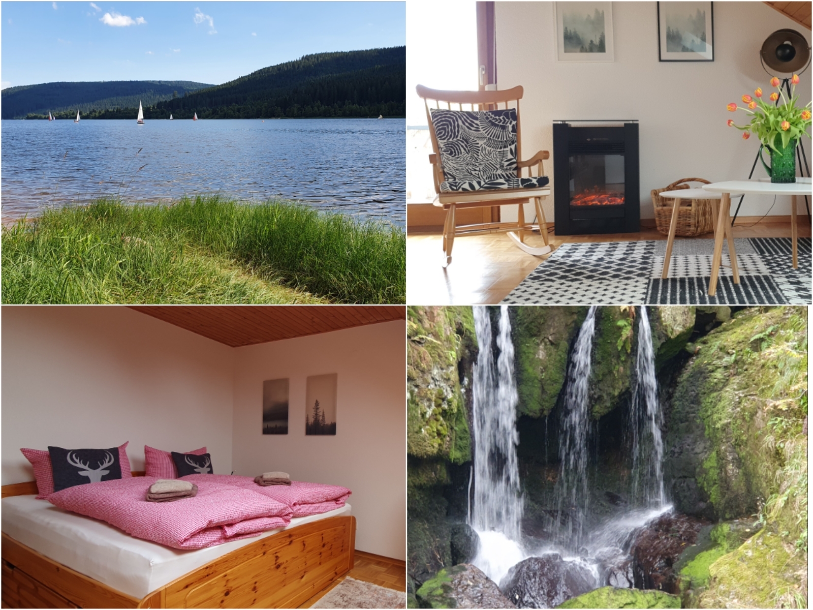 *Black Forest Black Forest fir * Garden+ Schluchsee