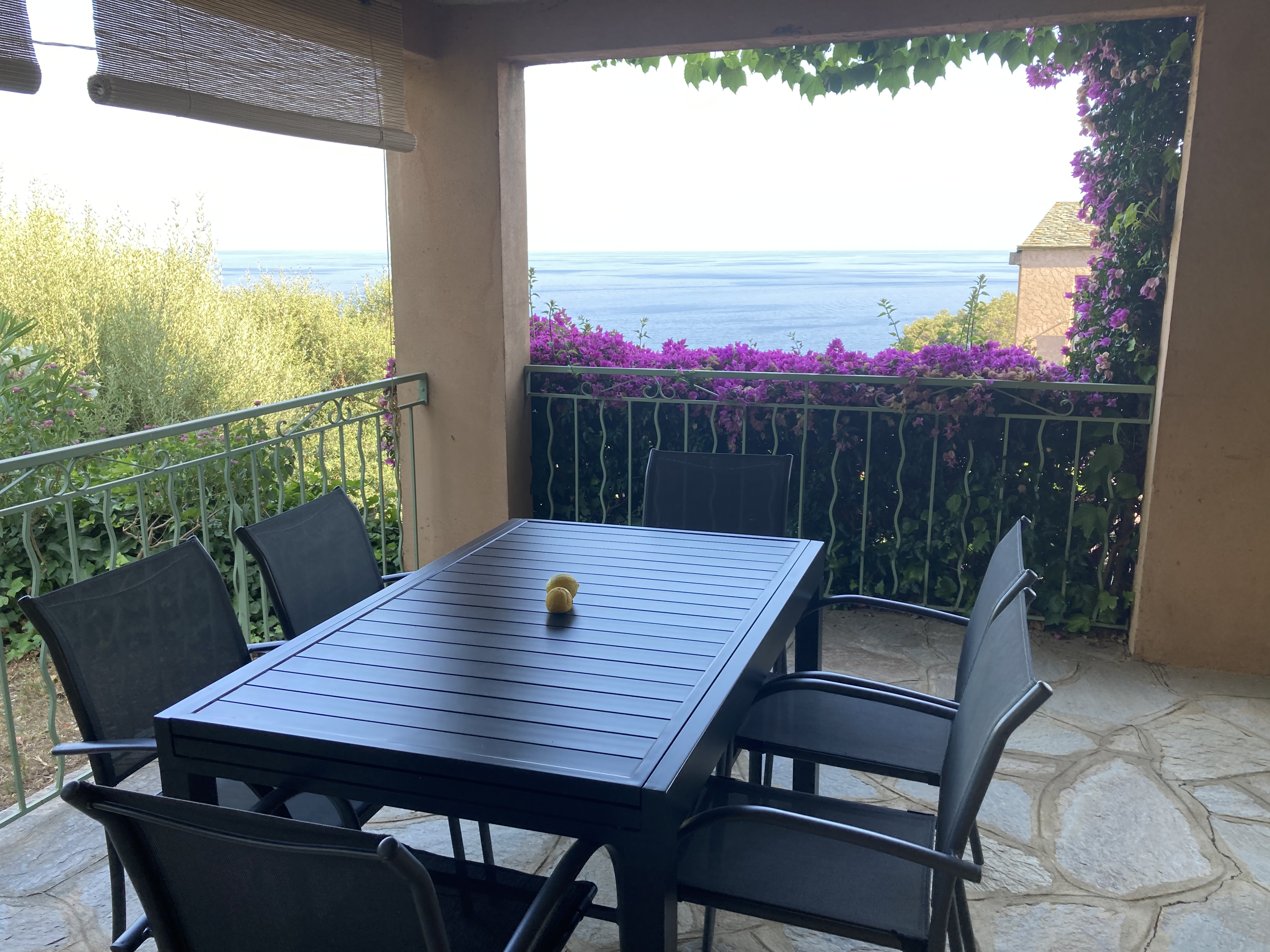 Sea view apartment in villa in Erbalunga