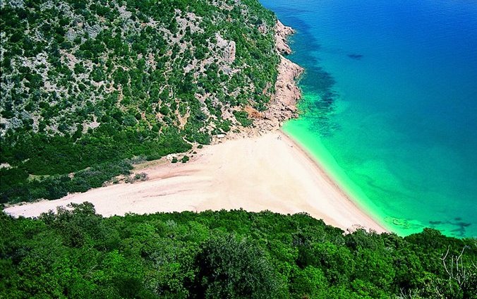 A slice of paradise