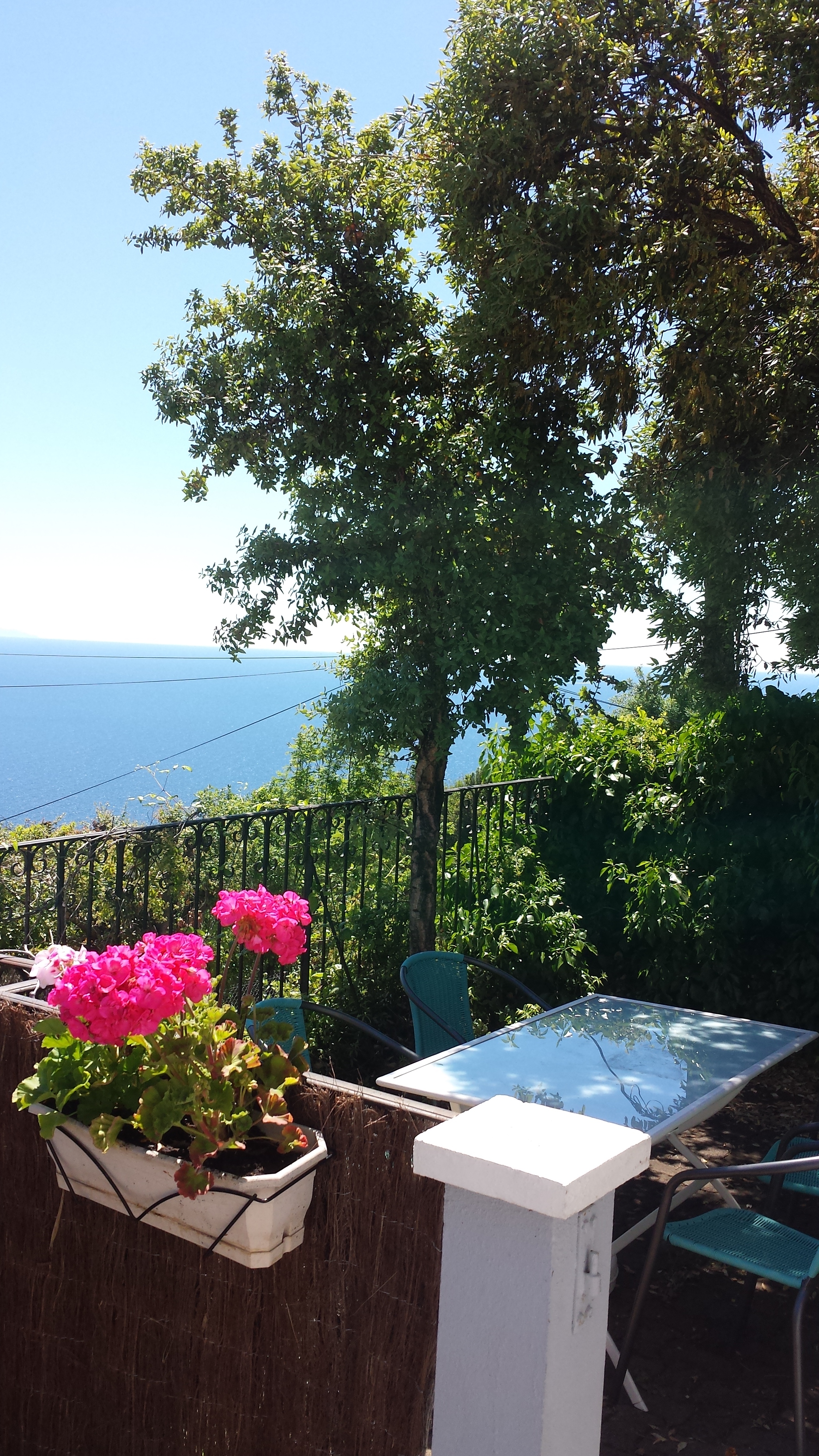 La Maison Bleue du Cap Corse with sea view