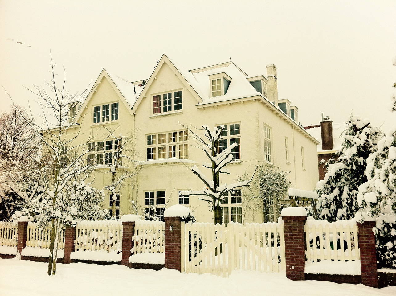 Joyful Villa: Beach & City (1 pers) — The Hague stay