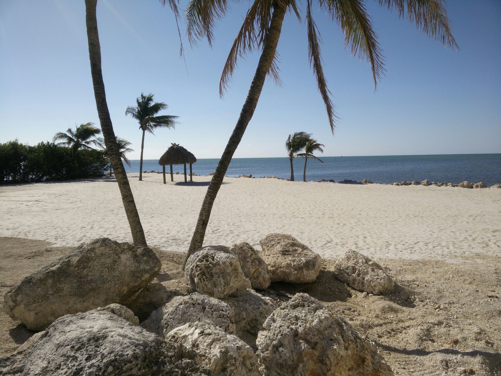 Enjoy the Floirda Keys 28 nights minimum