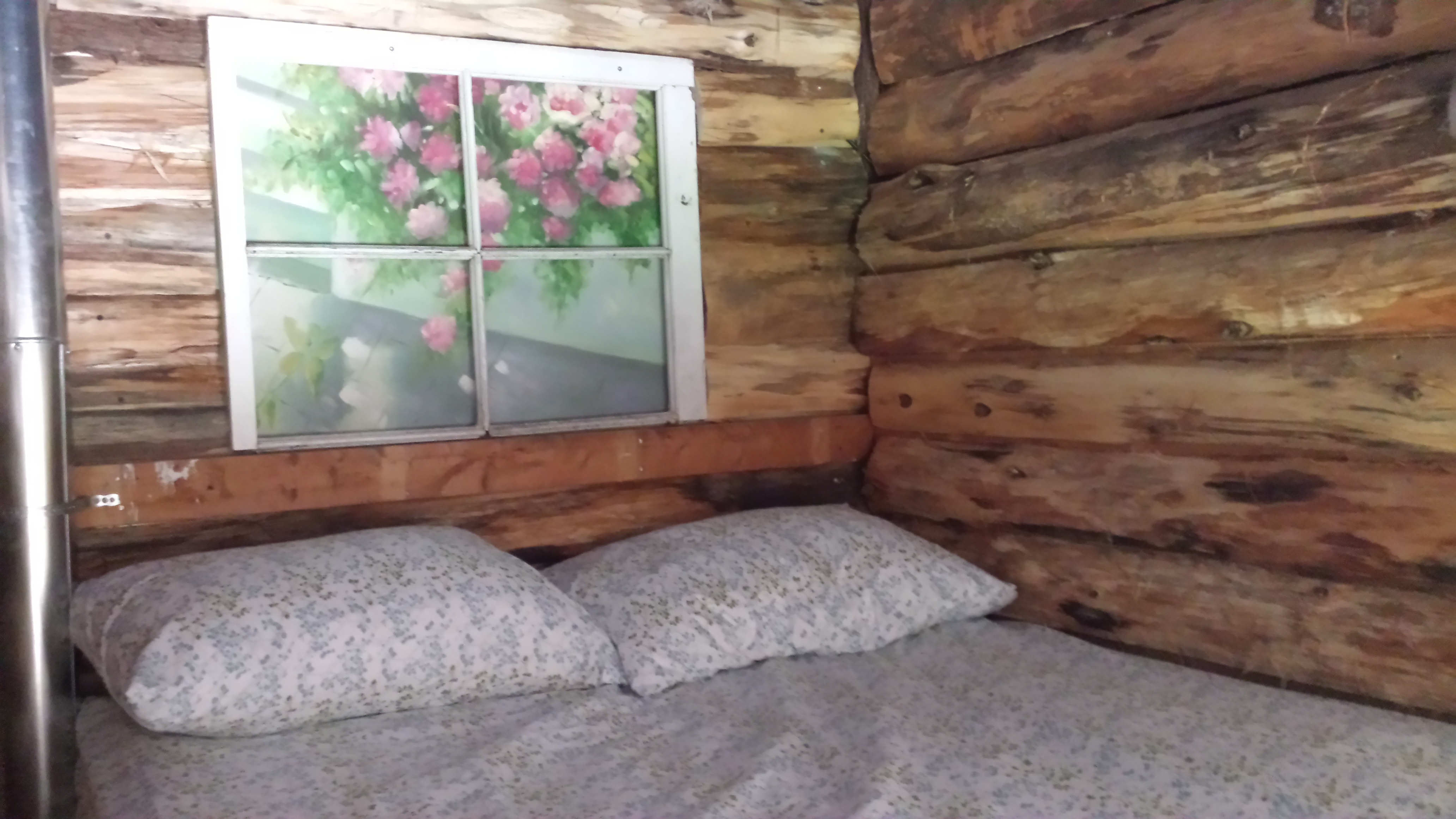 Bancroft's Little Island Lake Guest Suite Apartments for Rent in