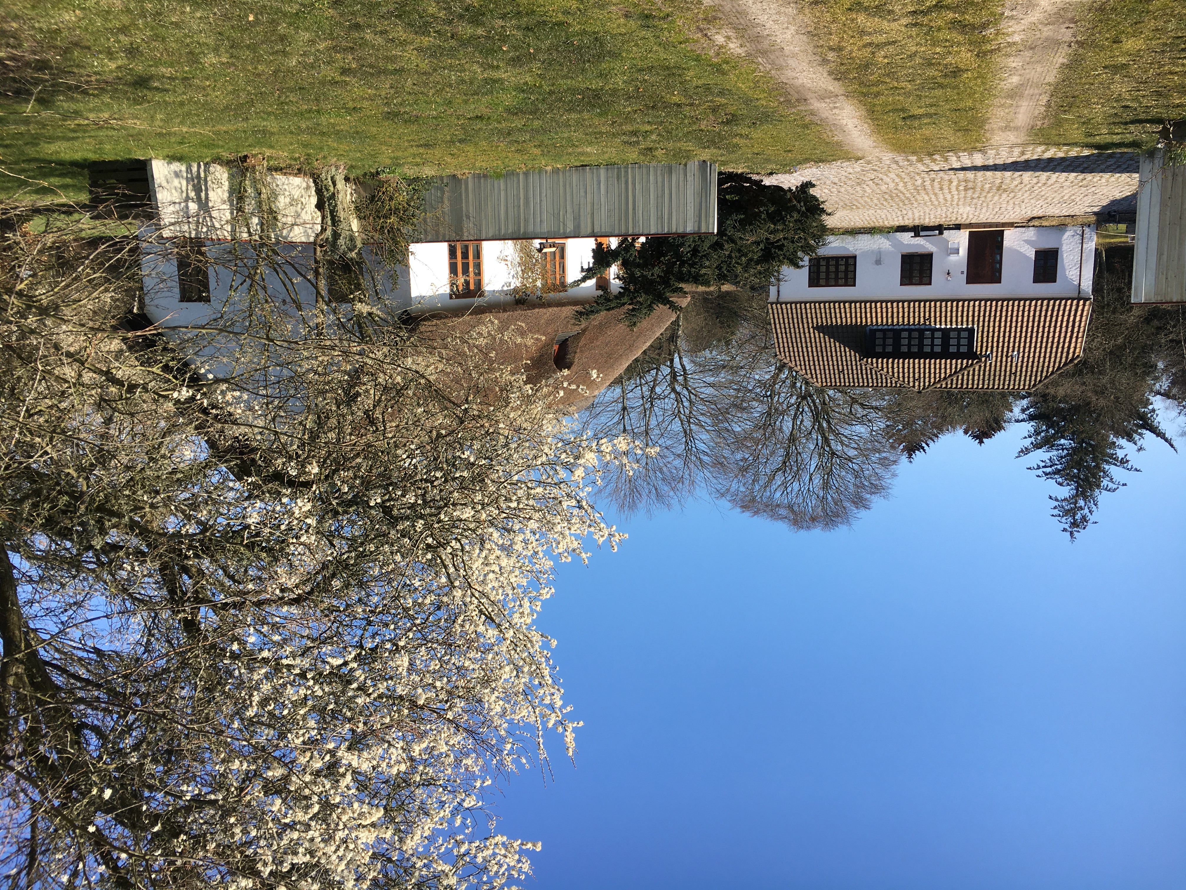 Thatched idyll close to stunning nature and golf course