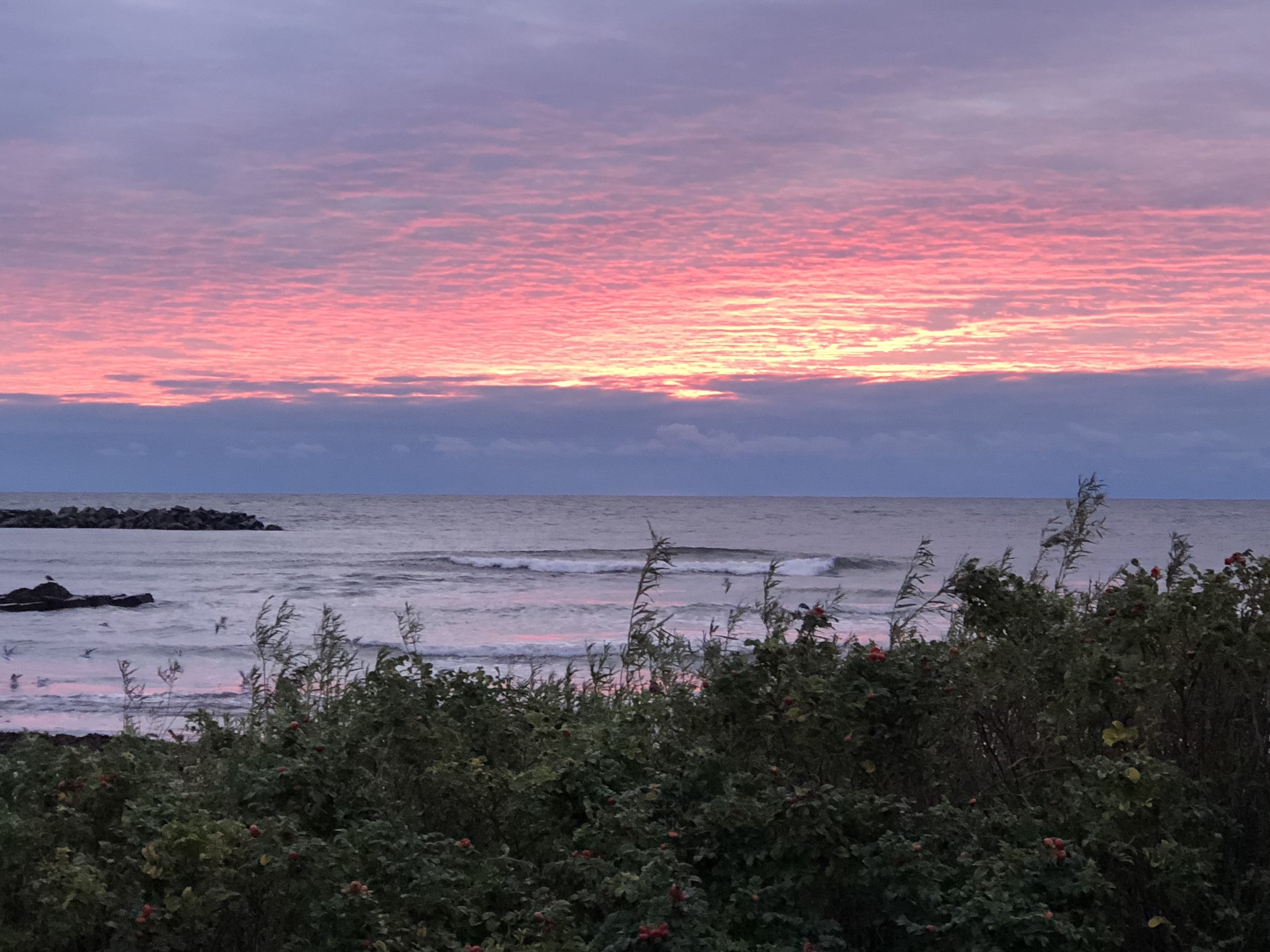 Bornholmerhygge: App. Lis - Strandlage, Meerblick