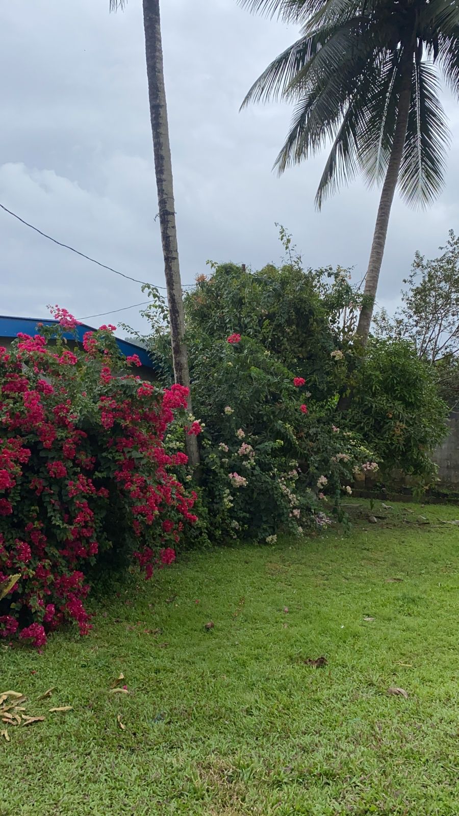 Carnival Stay-Cation at the hiddens