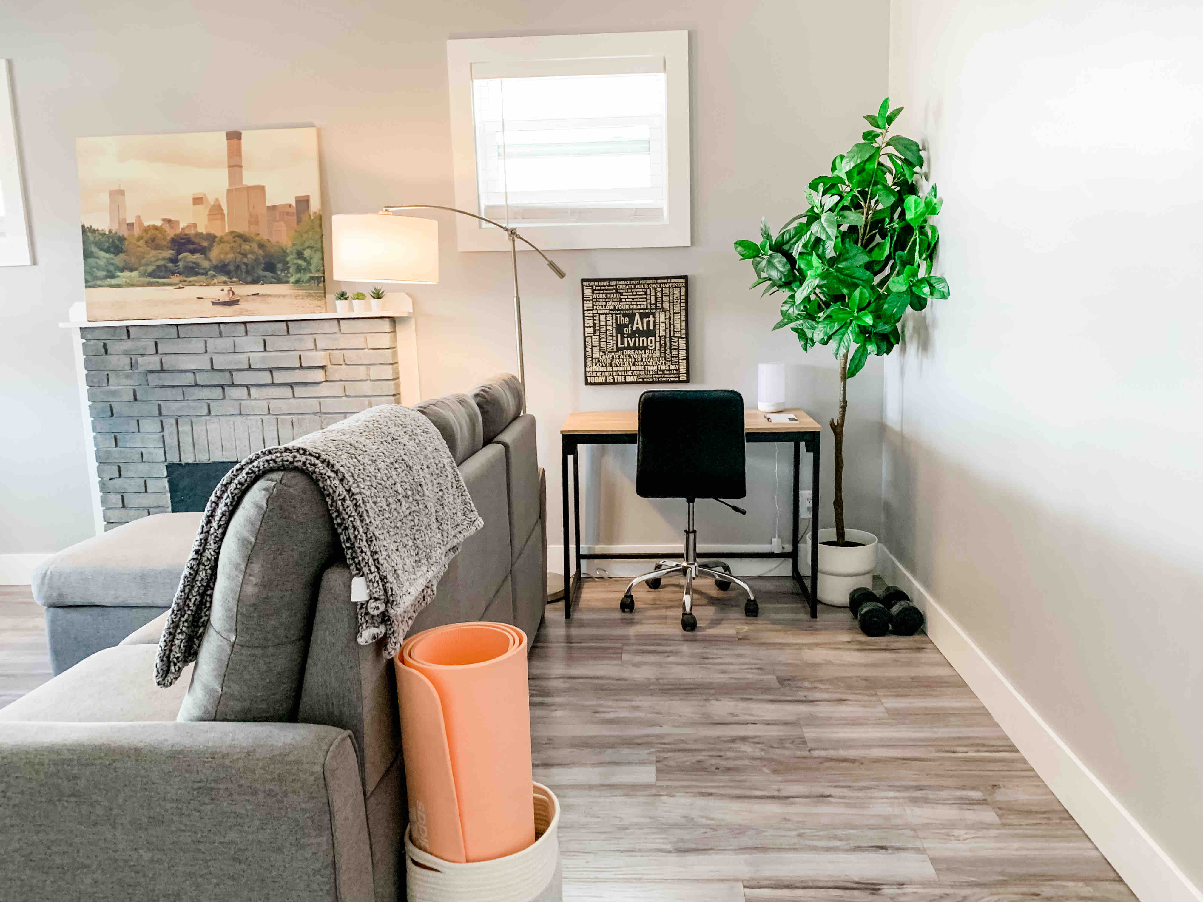 Modern 1 Bedroom + Sofa Bed Downtown Moncton Apartments for Rent in