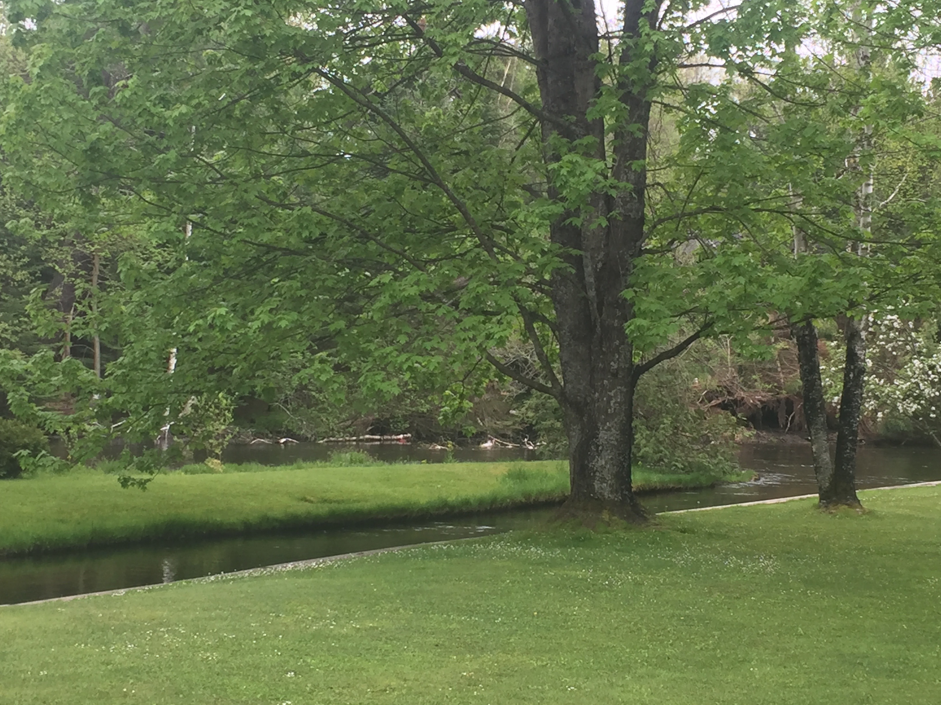 Jims Cabin on AuSable River with AC Cabins for Rent in Grayling