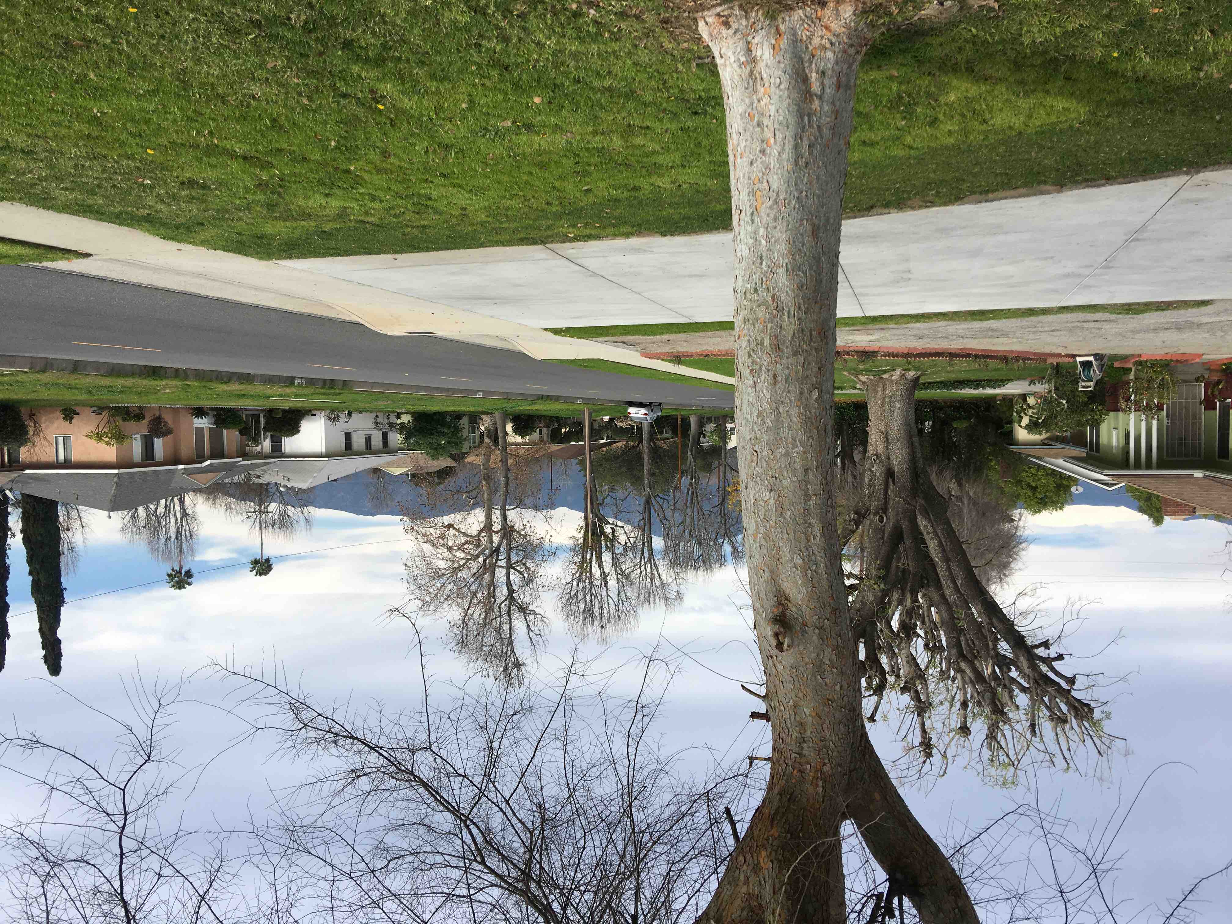 Temple city single house5433 2r/2b With garage Bungalows for Rent in